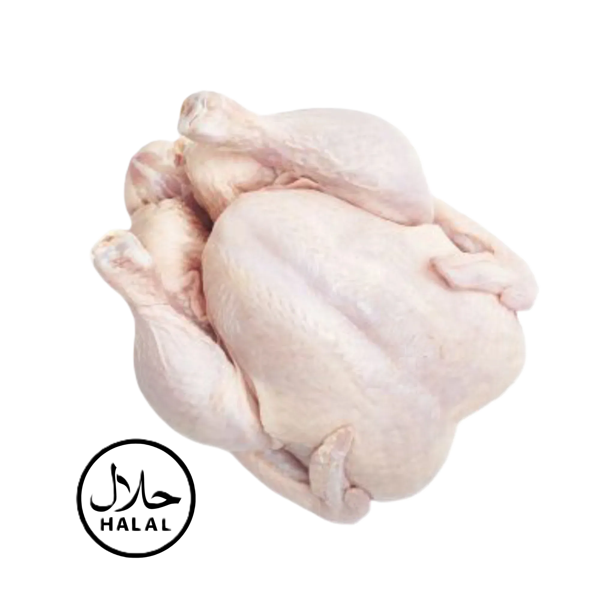 Halal Chicken