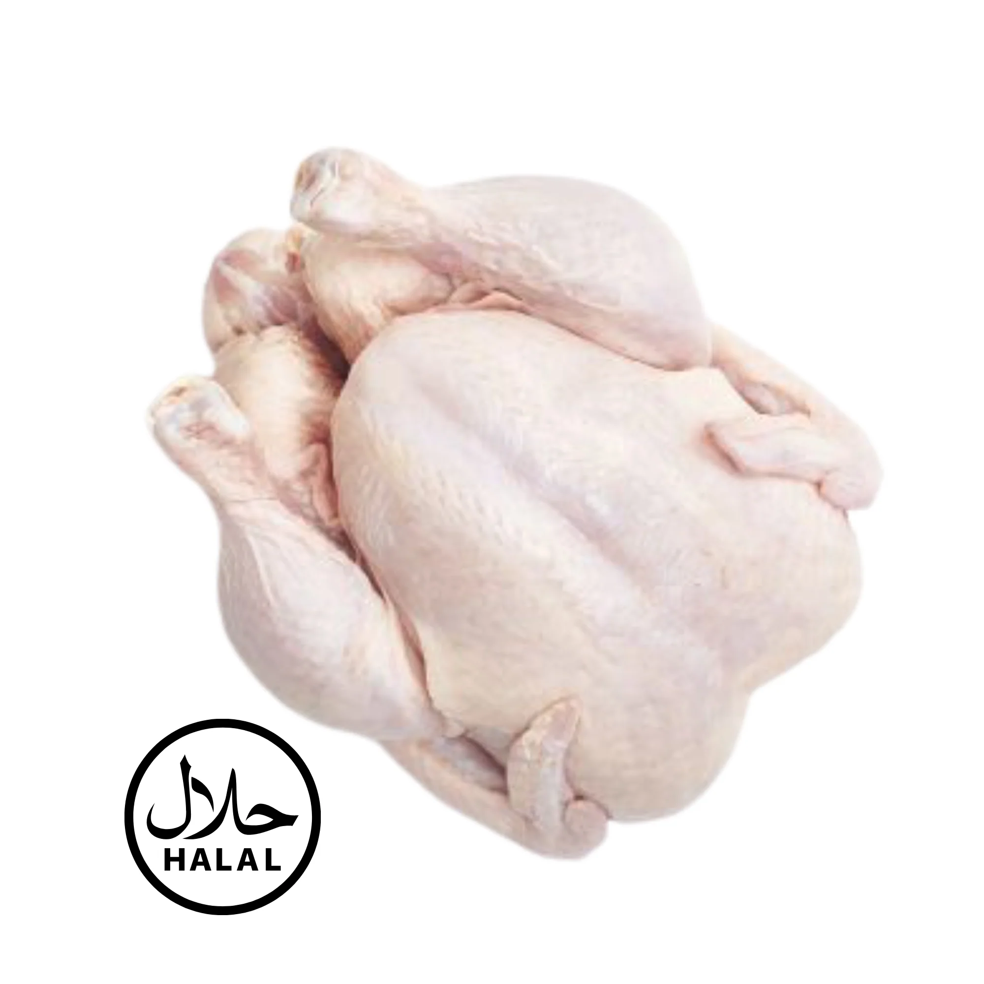 Halal Chicken