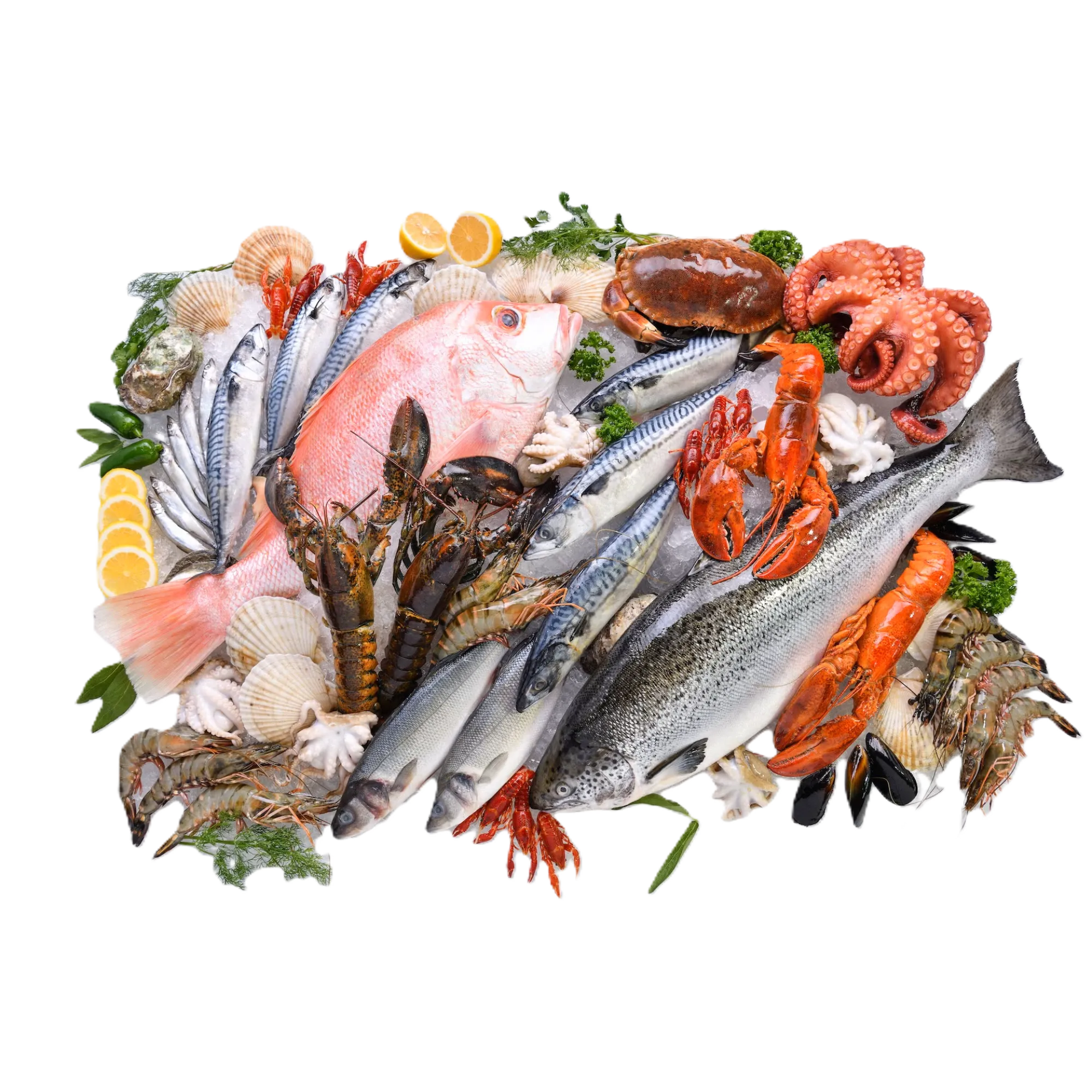 Fish & Seafood
