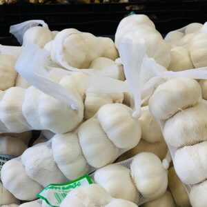 Garlic